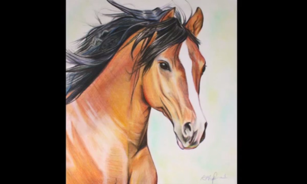 عکس طراحی اسب با مداد رنگی