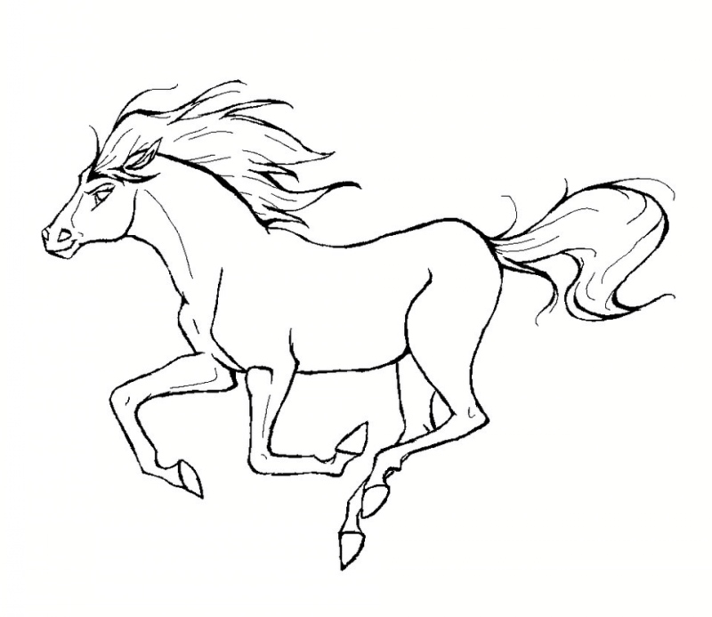 طراحی اسب با مداد سیاه ساده
