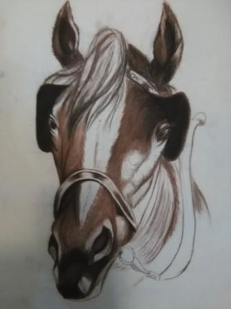 طراحی اسب با مداد کنته