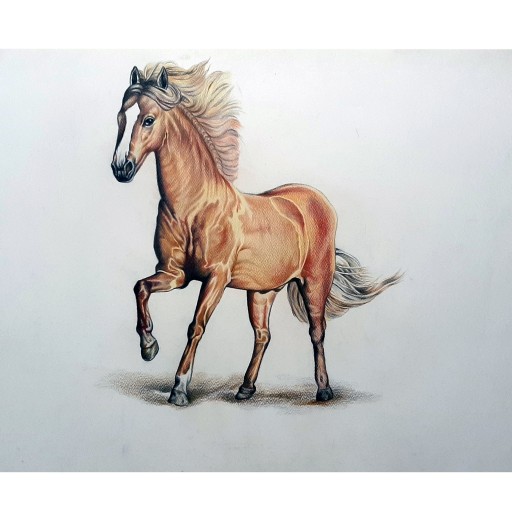طرح نقاشی با مداد رنگی اسب تک شاخ