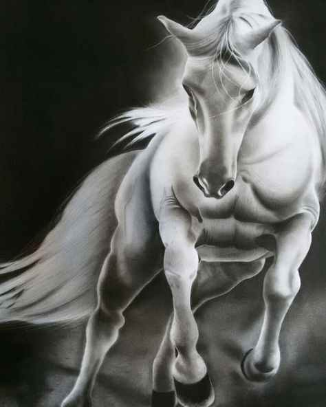 عکس نقاشی اسب سیاه قلم