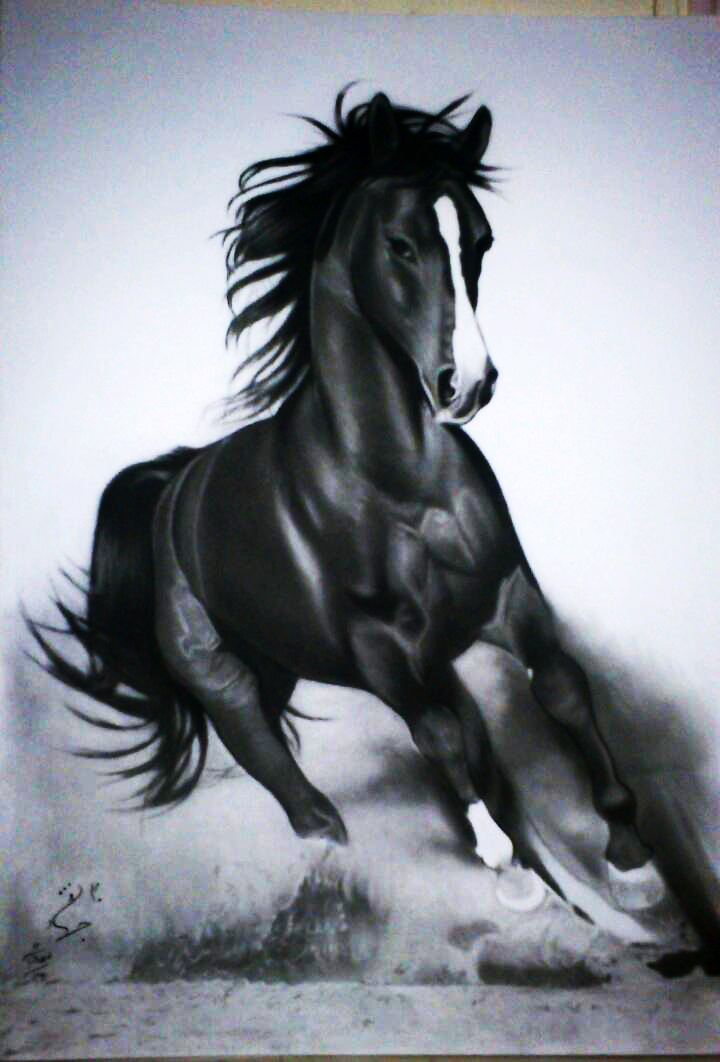 عکس نقاشی اسب سیاه قلم