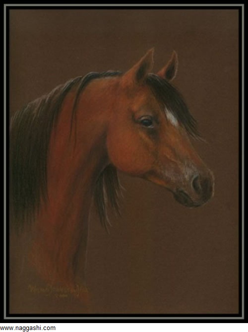 نقاشی اسب تک شاخ با مداد رنگی
