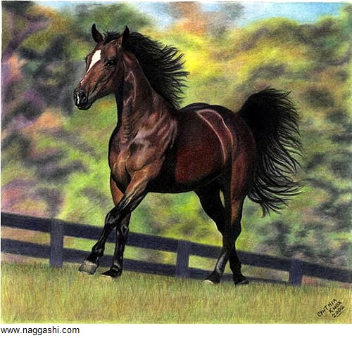 نقاشی اسب با مداد رنگی