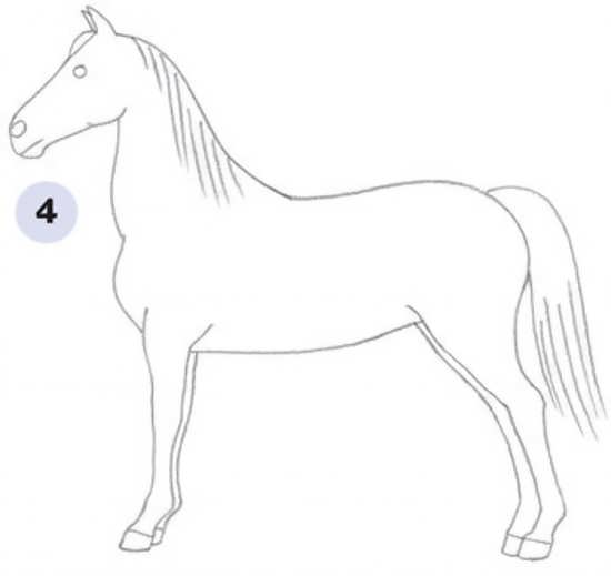 عکس اسب ساده برای نقاشی
