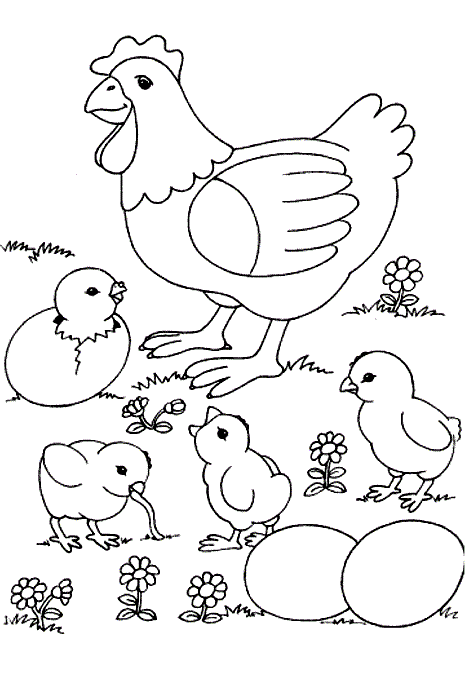 نقاشی کودکانه مرغ و خروس و جوجه