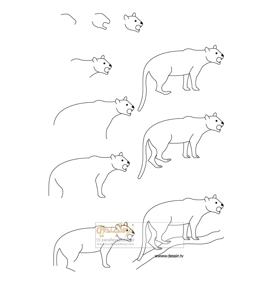 نقاشی حیوانات جنگلی
