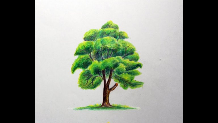 نقاشی درخت ساده با مداد رنگی
