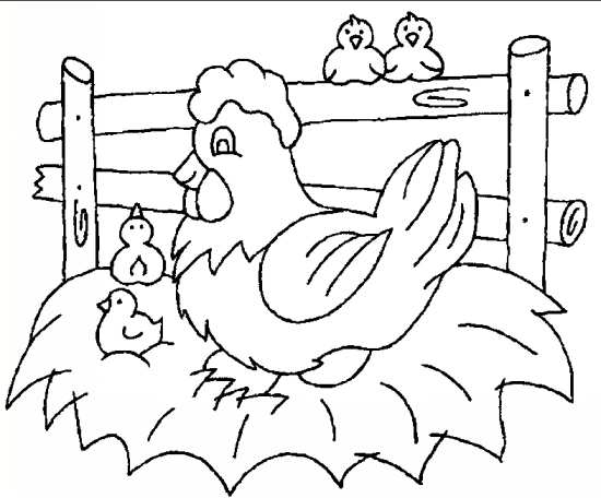 عکس نقاشی مرغ و جوجه