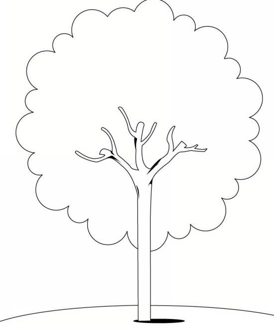 نقاشی درخت ساده و زیبا