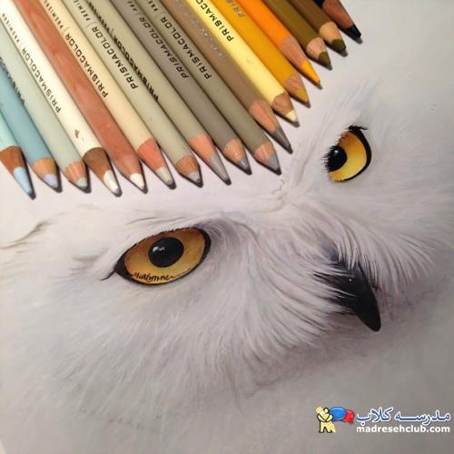 آموزش نقاشی جغد با مداد رنگی