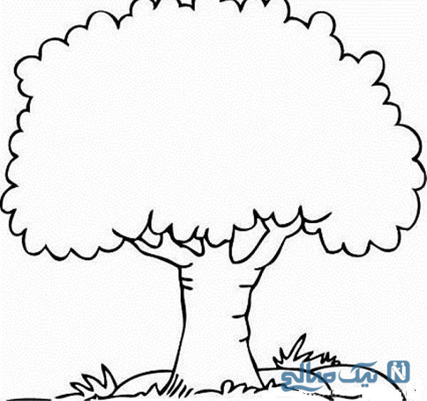 عکس نقاشی درخت کاج کودکانه