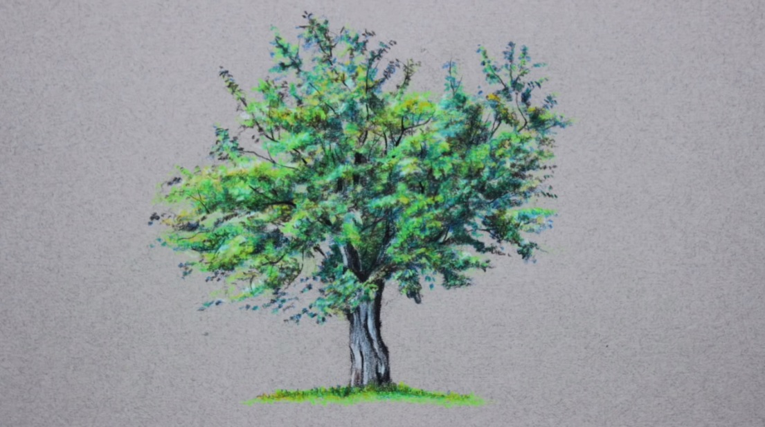 نقاشی درخت پاییزی با مداد رنگی