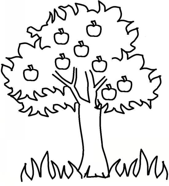 عکس های نقاشی درخت کودکانه