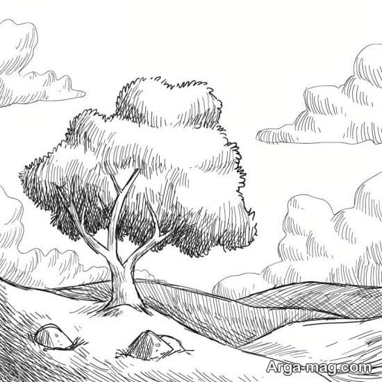 نقاشی ساده جنگل بزرگ