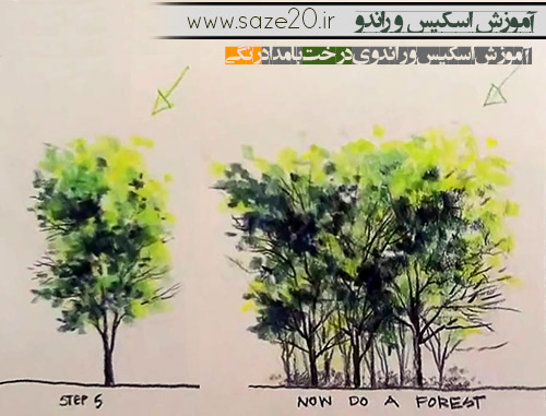 آموزش طراحی درخت با مداد رنگی