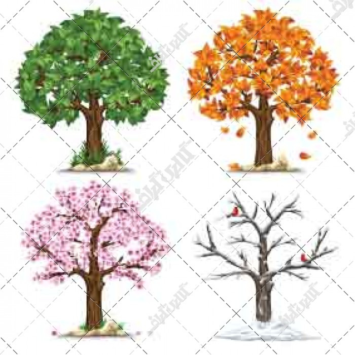 نقاشی درخت چهار فصل کودکانه
