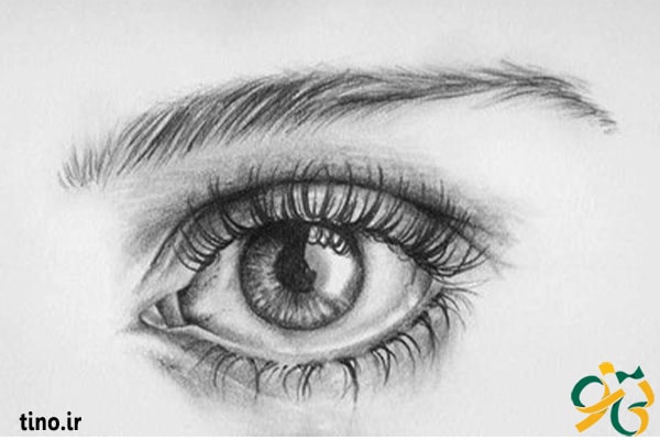 آموزش کشیدن نقاشی چشم و ابرو ساده