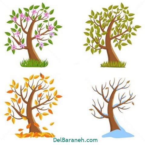 نقاشی کودکانه درخت سیب در چهار فصل