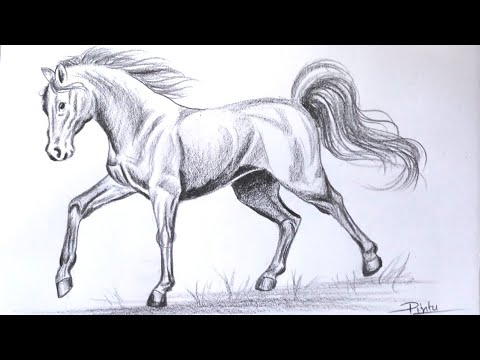 نقاشی با مداد اسب
