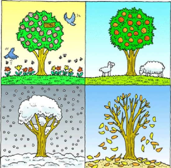 نقاشی کودکانه درخت سیب در چهار فصل
