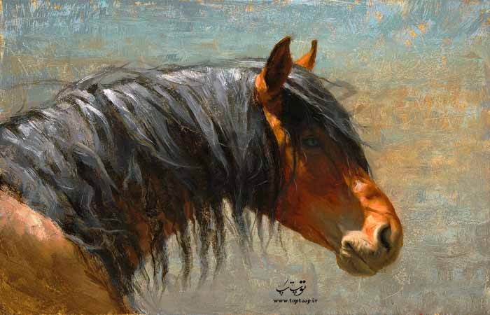 نقاشی اسب با مداد رنگی ساده