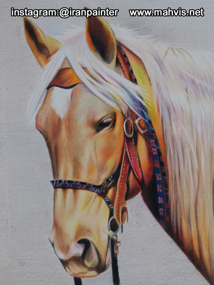 نقاشی با مداد رنگی اسب