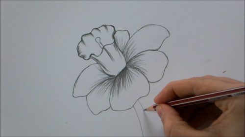 نقاشی با مداد سیاه ساده گل