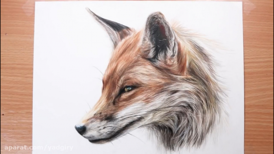 نقاشی با مداد رنگی از حیوانات ساده