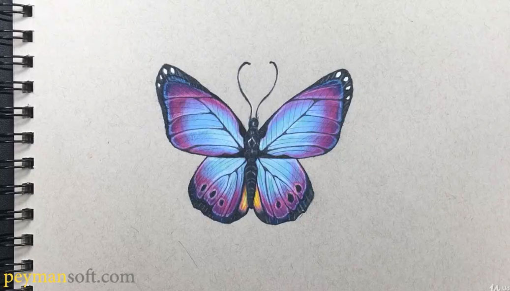 نقاشی حیوانات با مداد رنگی ساده