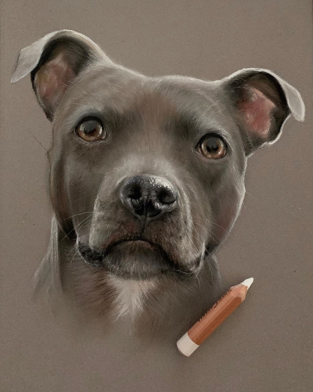 نقاشی با مداد از حیوانات