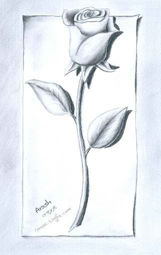نقاشی گل با مداد سیاه