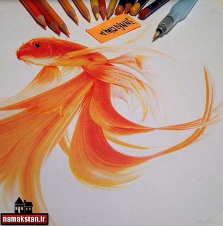 عکس نقاشی حیوانات با مداد رنگی