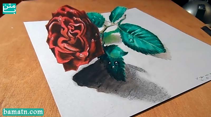 نقاشی گل رز ساده با مداد