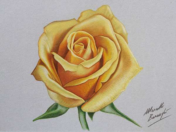 عکس نقاشی گل و گلدان با مداد رنگی