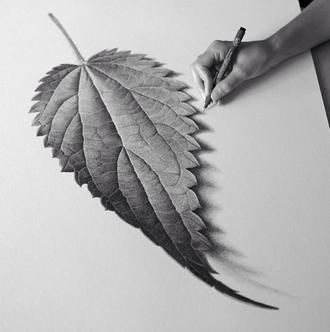 طراحی برگ پاییزی با مداد سیاه