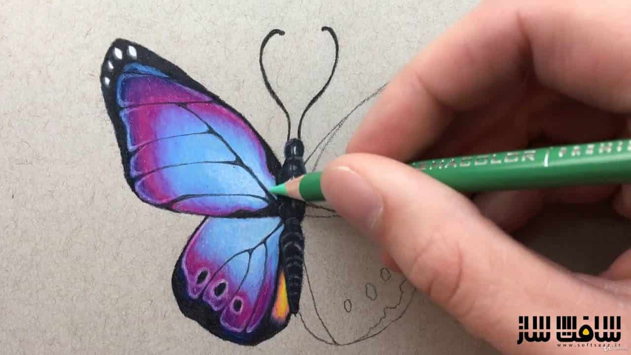 نقاشی با مداد رنگی برای مبتدی
