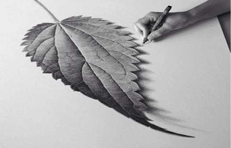 نقاشی با مداد رنگی از برگ