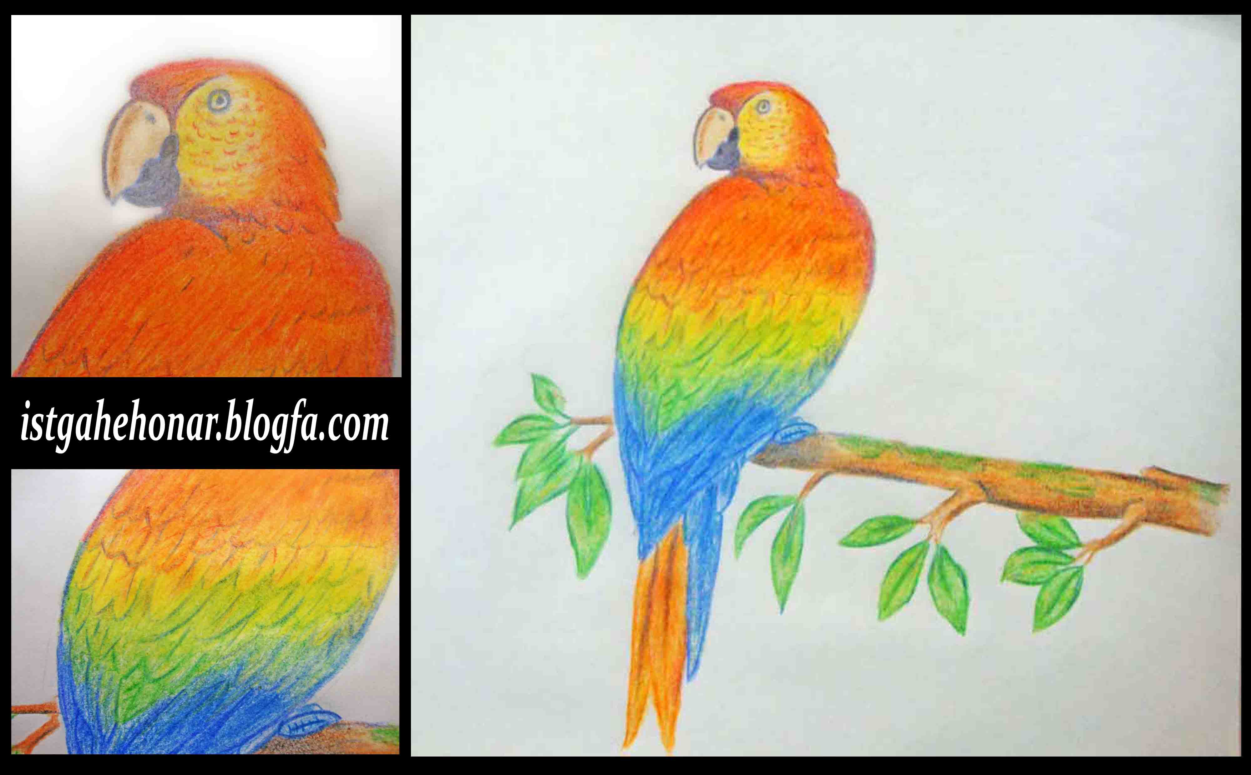 نقاشی ساده با مداد رنگی برای کودکان