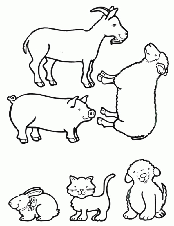 نقاشی حیوانات اهلی کودکانه