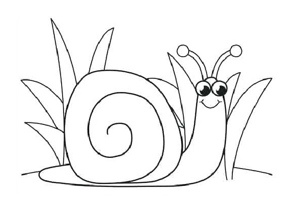 عکس نقاشی حلزون کودکانه