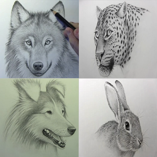 نقاشی حرفه ای از حیوانات
