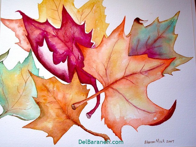 نقاشی از برگ با مداد رنگی