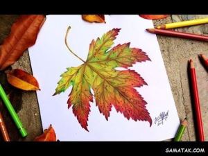 نقاشی برگ با مداد رنگی