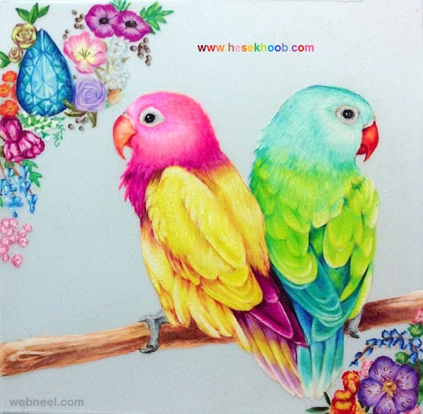 نقاشی پرندگان زیبا با مداد رنگی