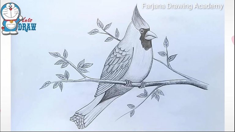 طراحی پرنده با مداد سیاه ساده