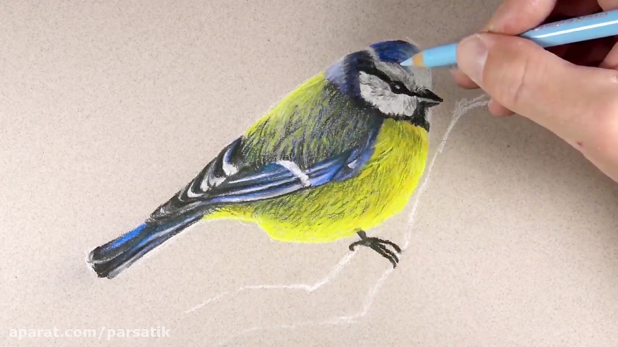 نقاشی با مداد رنگی طرح پرنده