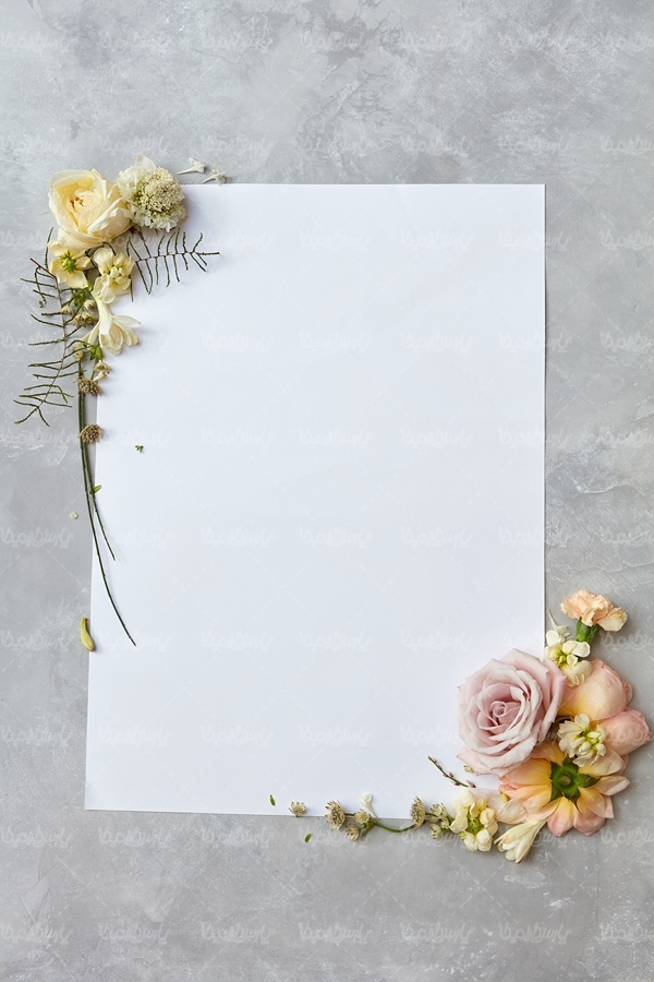 طرح های گل برای حاشیه کاغذ
