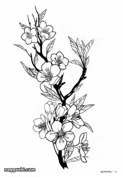 طراحی گل ساده با راپید