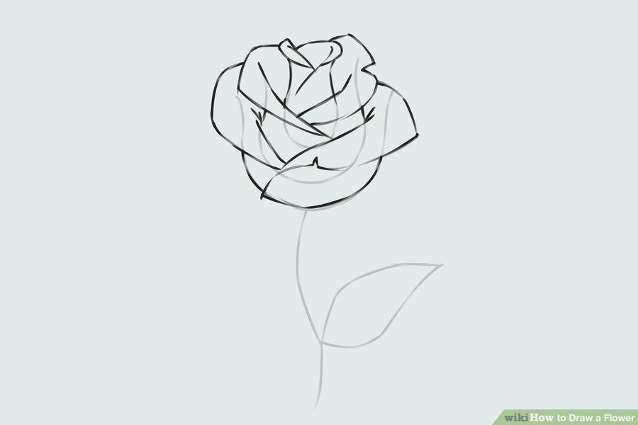 طراحی گل رز با راپید